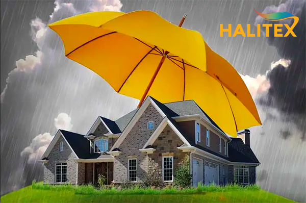 Giải pháp bảo vệ ngôi nhà bền vững từ gốc cùng sơn chống thấm Halitex