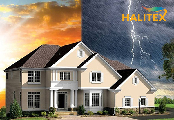 Tư vấn màu sơn phòng ngủ tạo không gian thư giãn, giấc ngủ sâu với Sơn Halitex