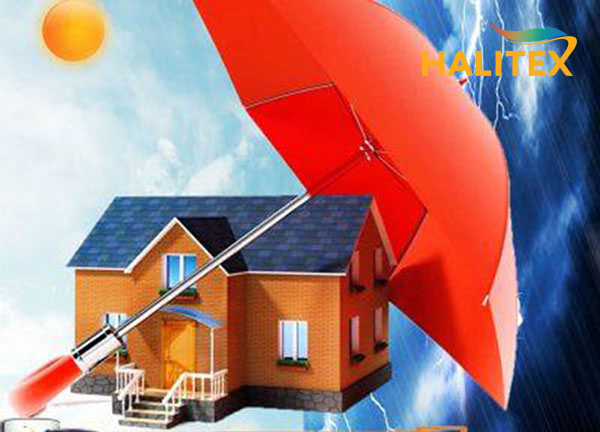 Tại sao Sơn Halitex là lựa chọn số 1 cho các công trình lớn?